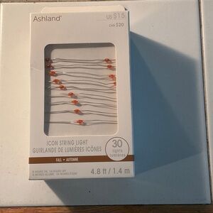 NIB Ashland Fall Icon String LED Lights with Orange Bulbs